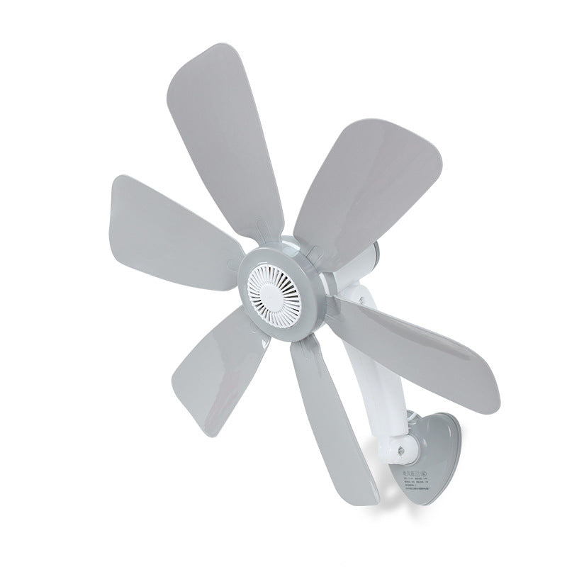 Ladies Wall Fan Kalsten