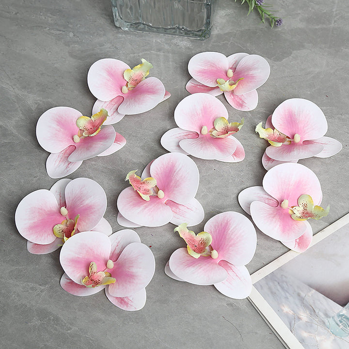 Decorative Orchid Petal for Home Decor Display