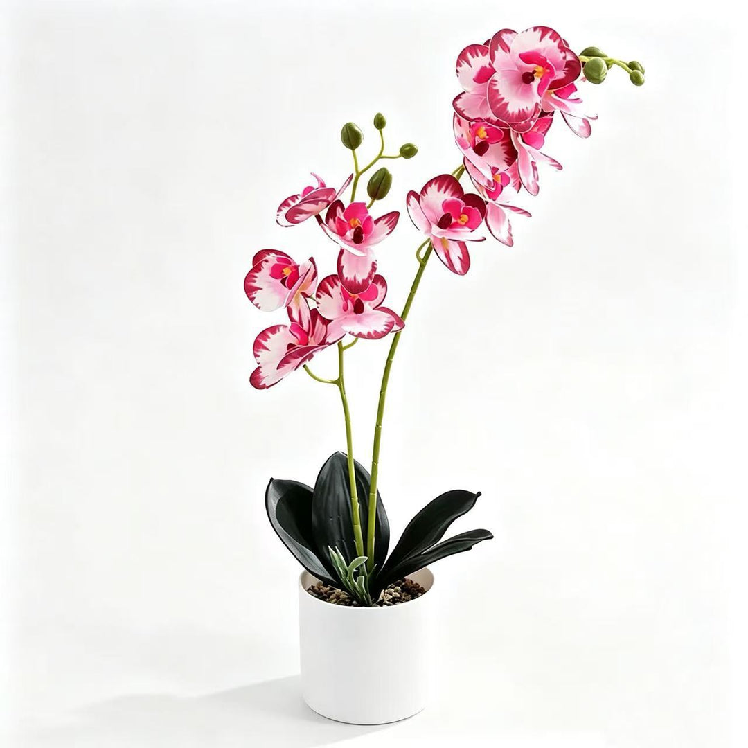 Lifelike Orchid Home Décor