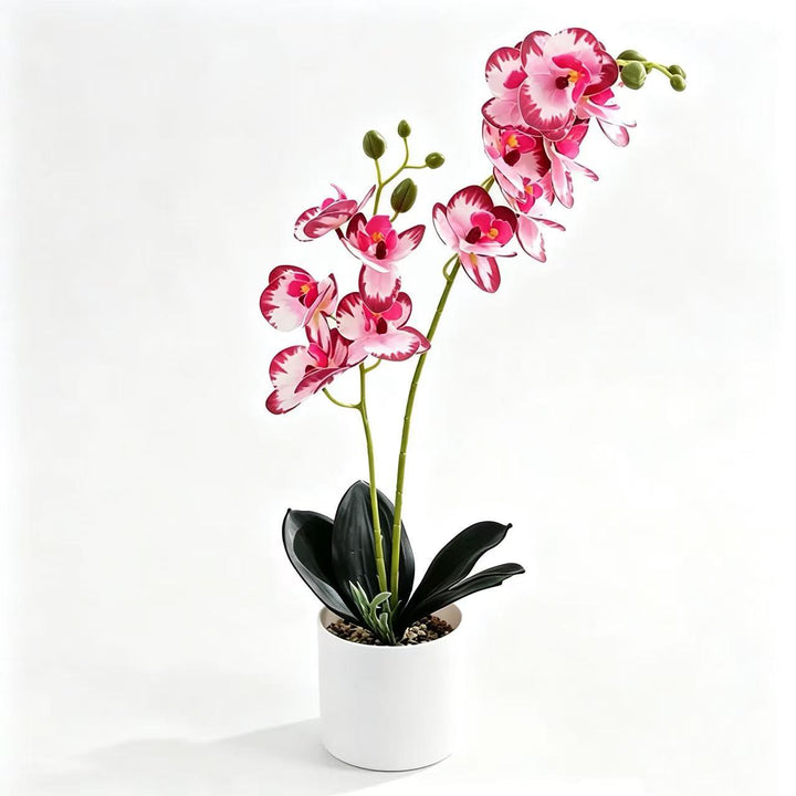 Lifelike Orchid Home Décor