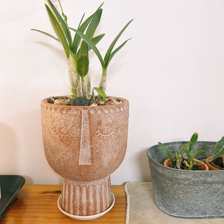 Kalsten Flower Pot