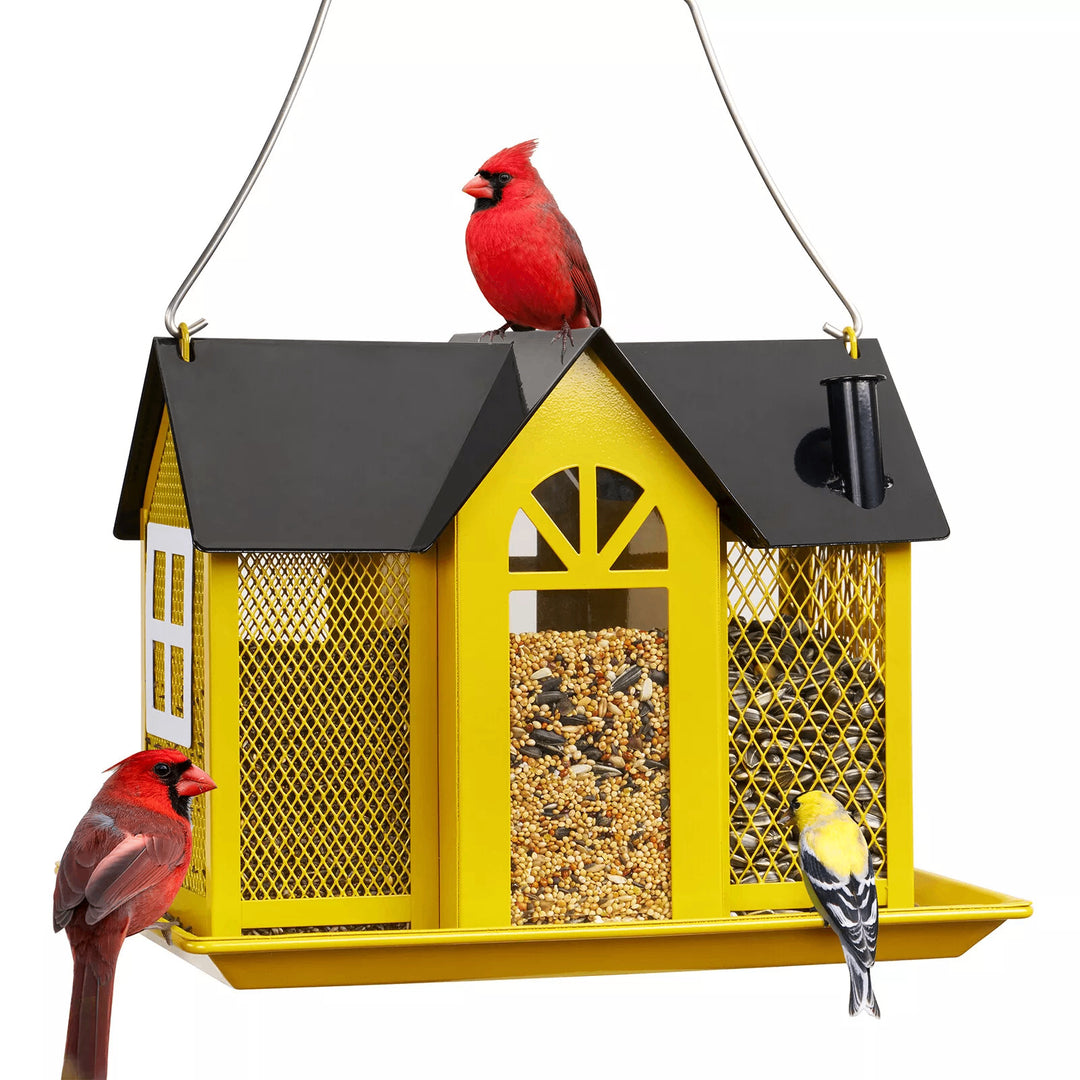 Bird feeder Kalsten