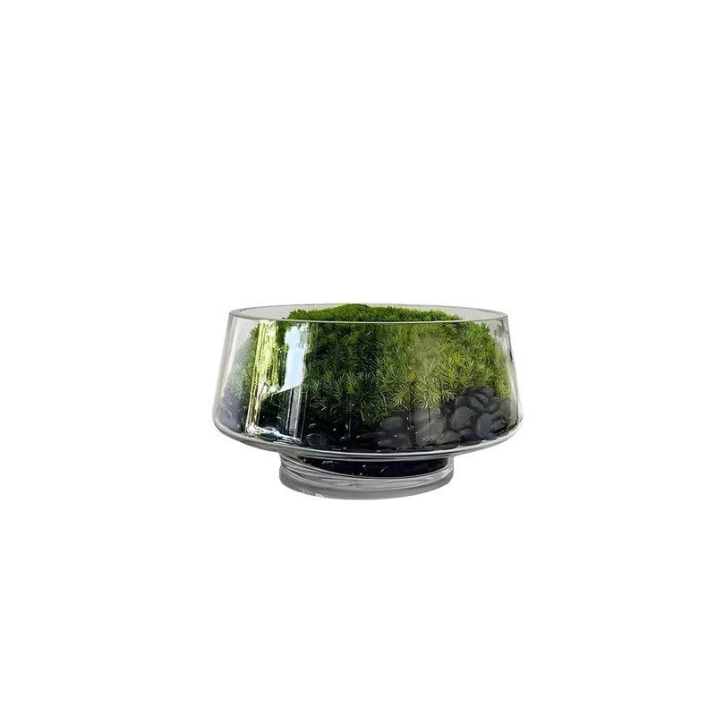 Decorative Terrarium