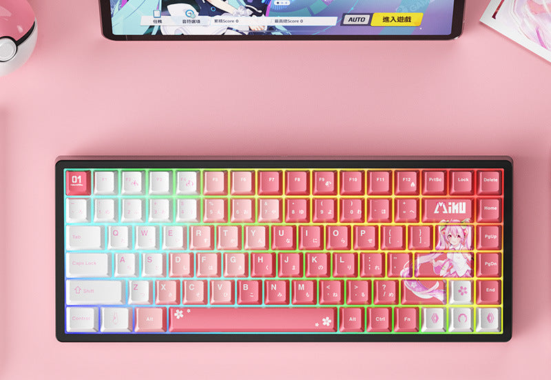 Wireless Gaming Mechanical Keyboard Kalsten