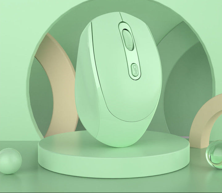 Ergonomic Wireless Mouse Kalsten