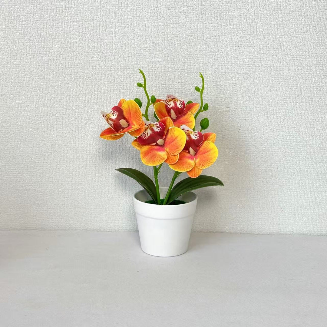 Elegant Decorative Orchid Floral Arrangement for Home Decor