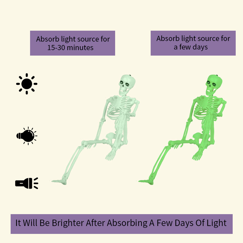 Glow-in-the-Dark Skeleton Decorations Kalsten