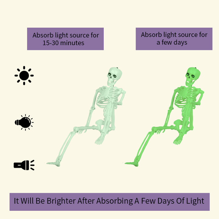 Glow-in-the-Dark Skeleton Decorations Kalsten