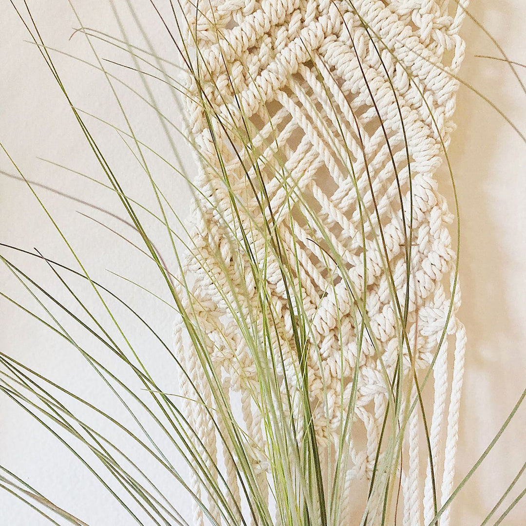 Macrame Wall Hanging Plant Holder Kalsten