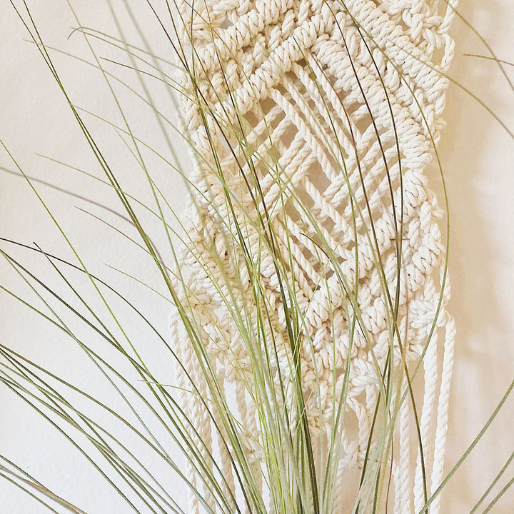 Macrame Wall Hanging Plant Holder Kalsten