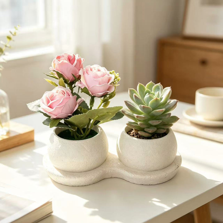 Decorative Succulent and Rose Arrangement for Home Decor