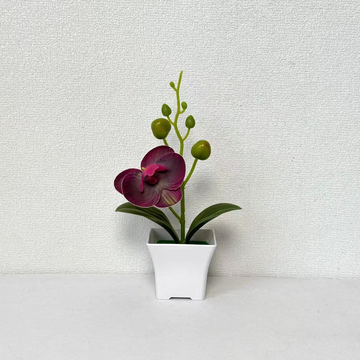 Lifelike Miniature Orchid Plant