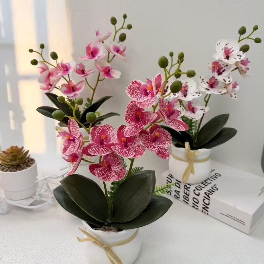 Realistic Decorative Orchid Plant