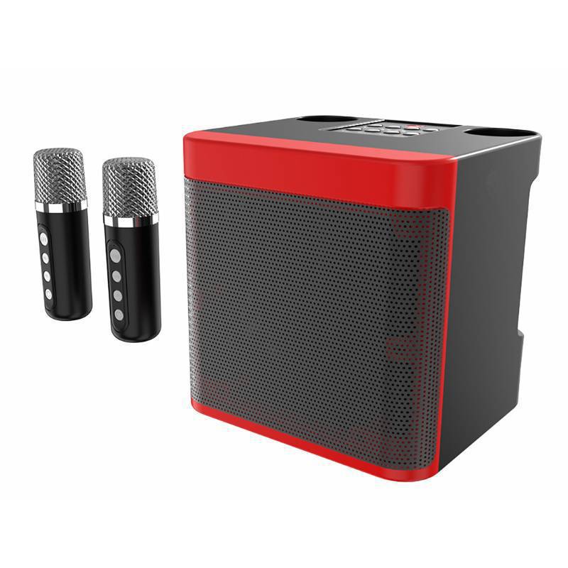 Wireless Karaoke Speaker System with Dual Microphones Kalsten