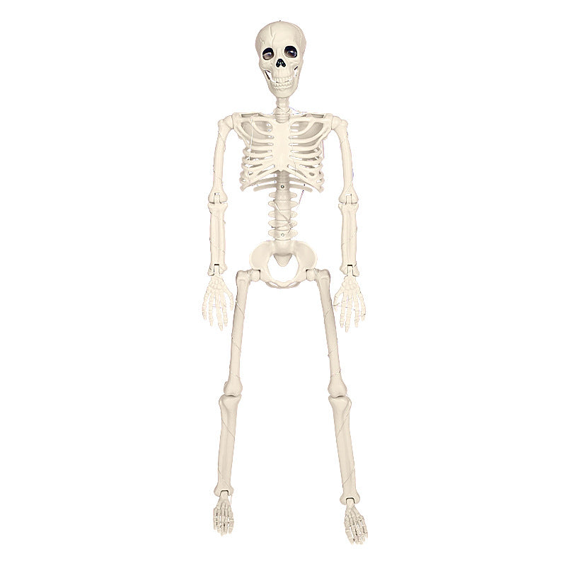 Decorative Luminous Skeleton Kalsten