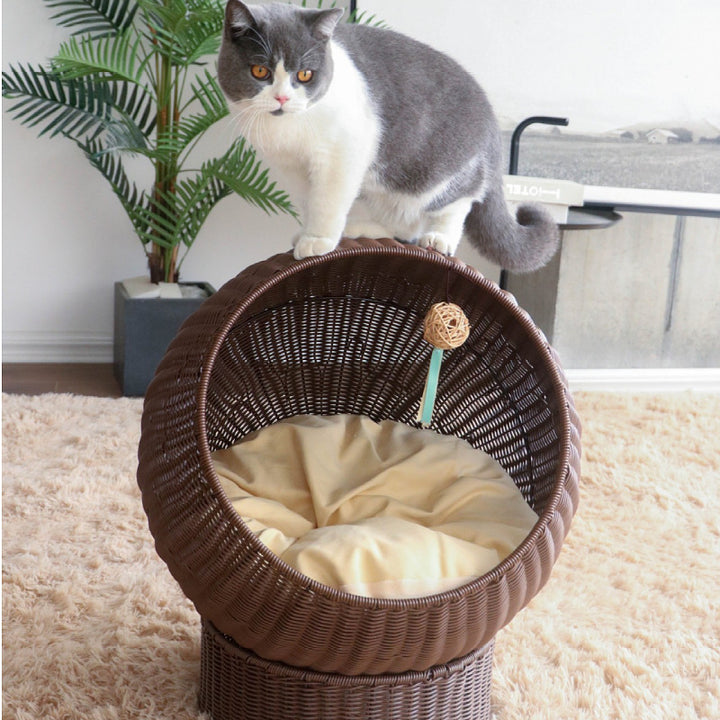 Cat bed with Modern Design Kalsten