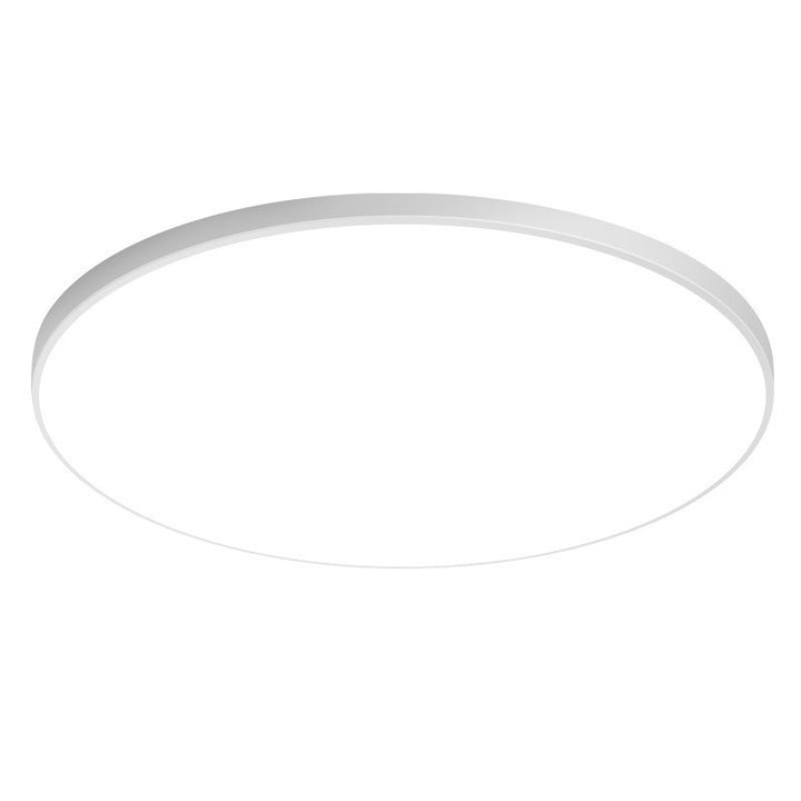 Modern Flush Mount Ceiling Light