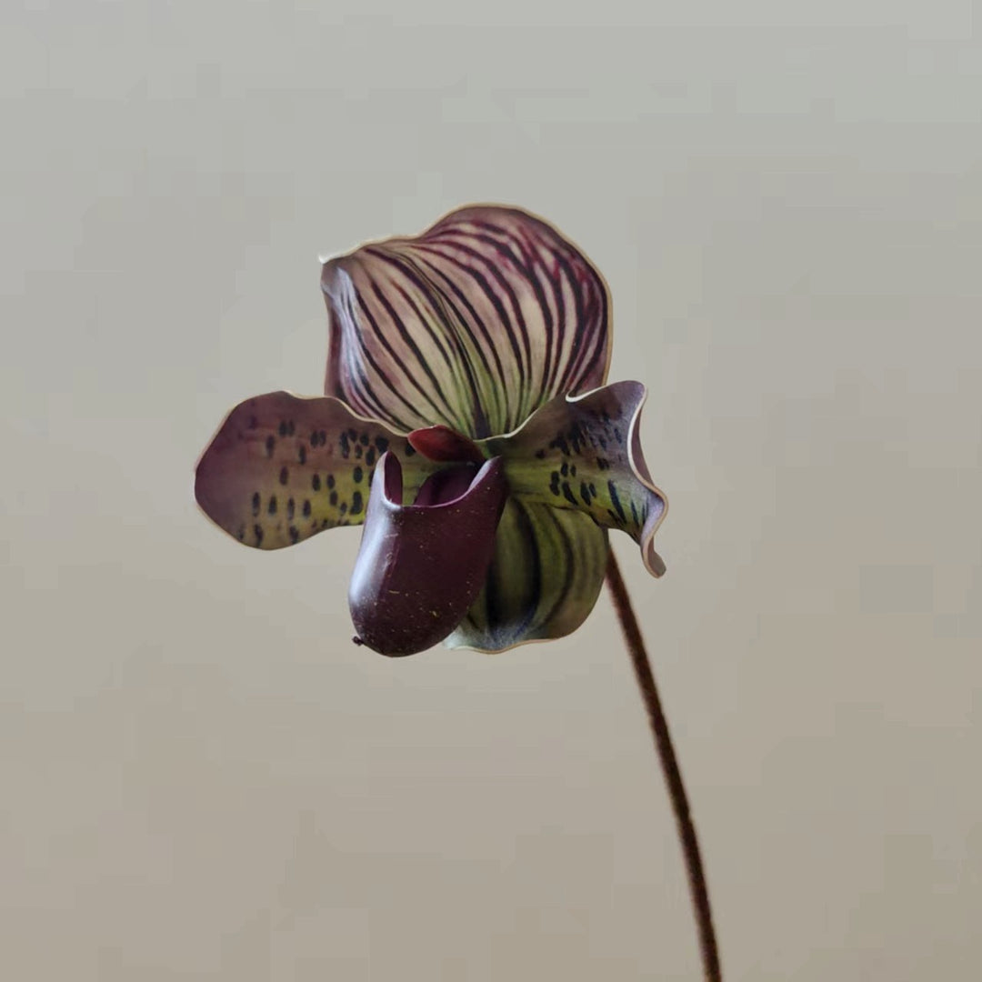 Realistic Orchid Stem Vase Decoration