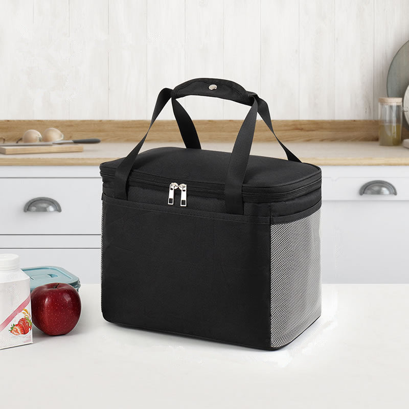 Insulated Multi-Purpose Lunch Carrier Kalsten