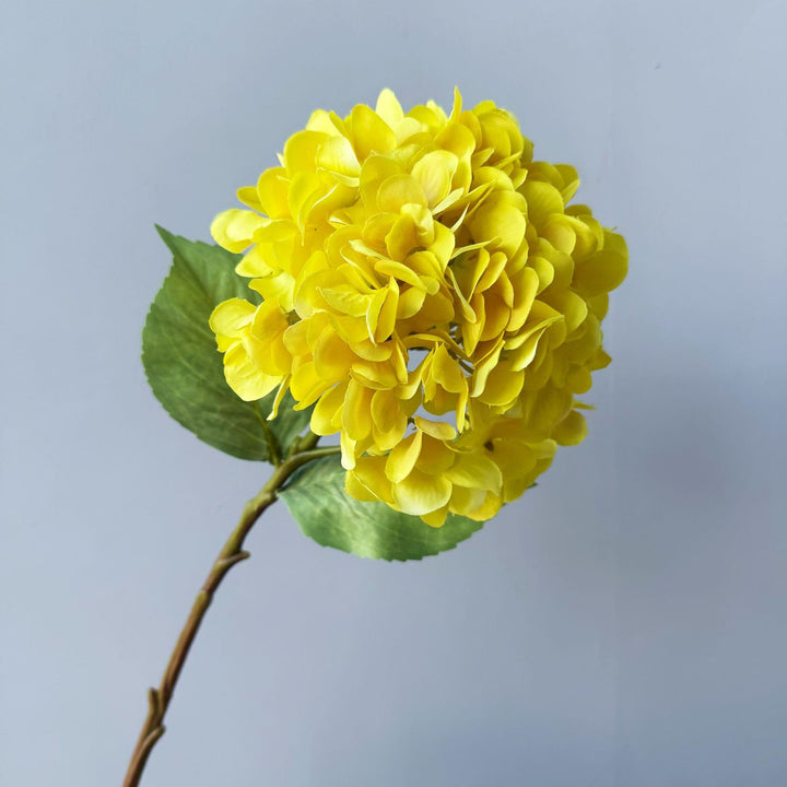 Floral Decorative