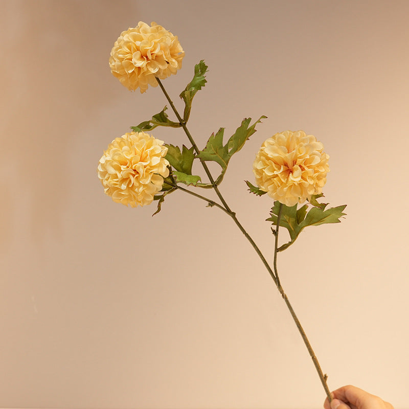 Artistic Flower Arrangements Kalsten