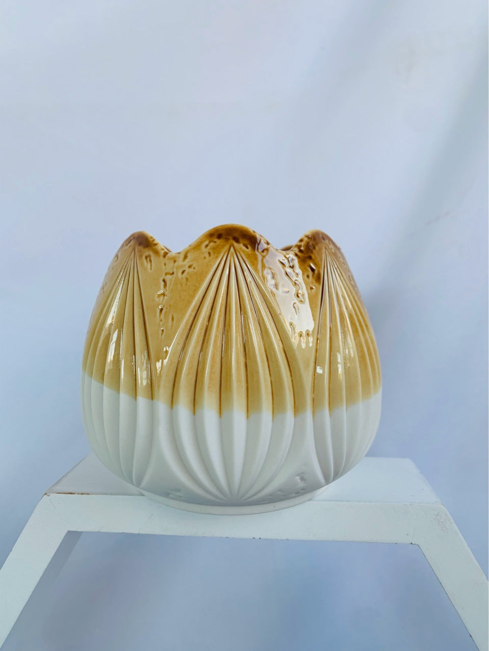 Decorative Ceramic Planter Kalsten