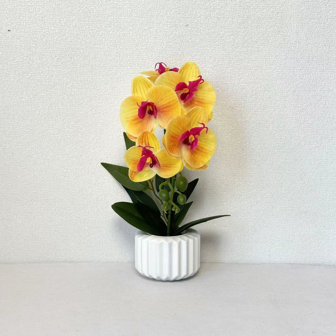 Decorative Potted Orchid for Home Decor Display