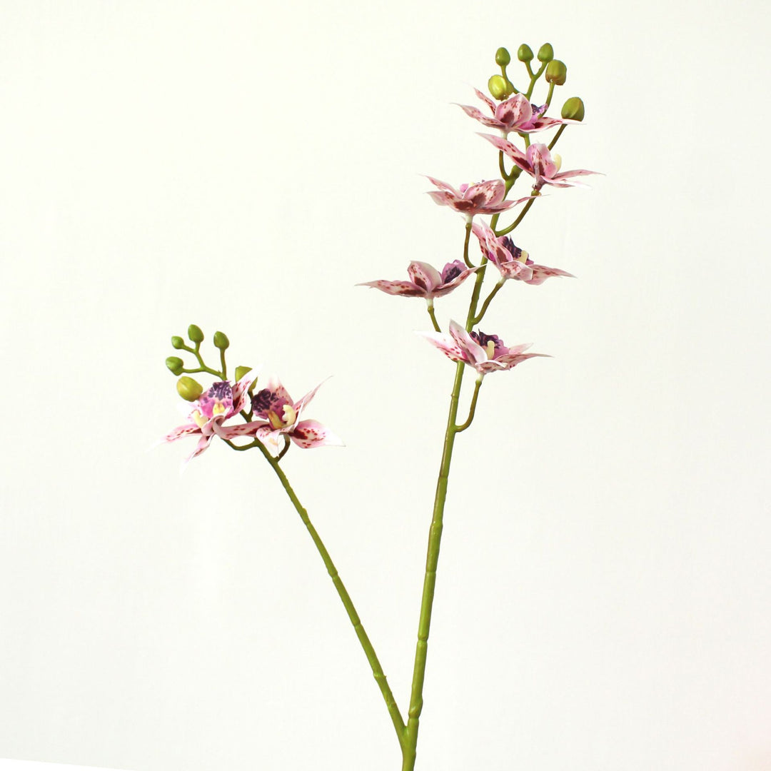 Decorative Orchid Stem