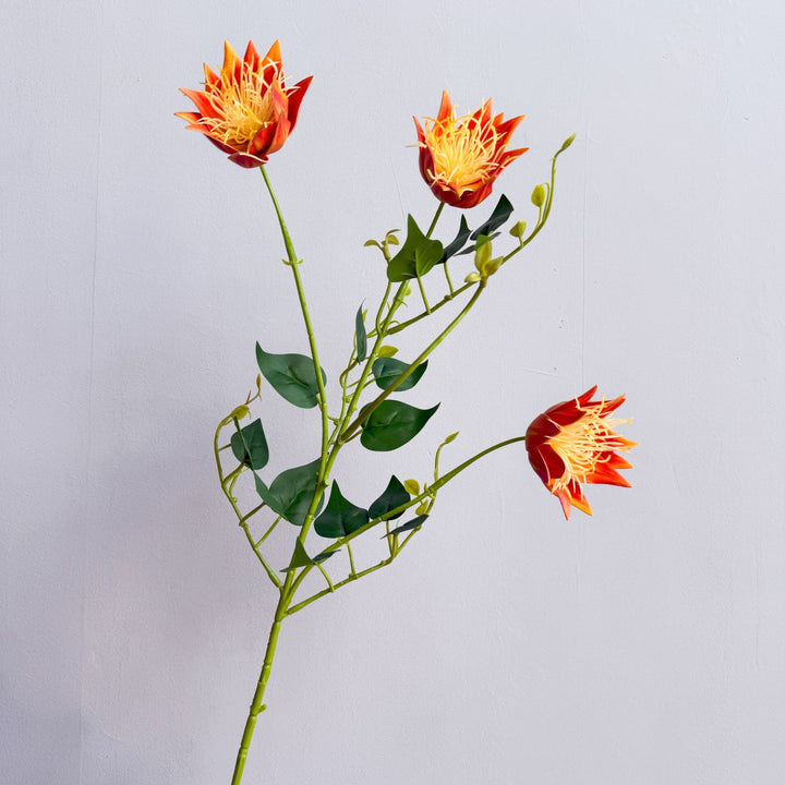 Exotic Flora Arrangement