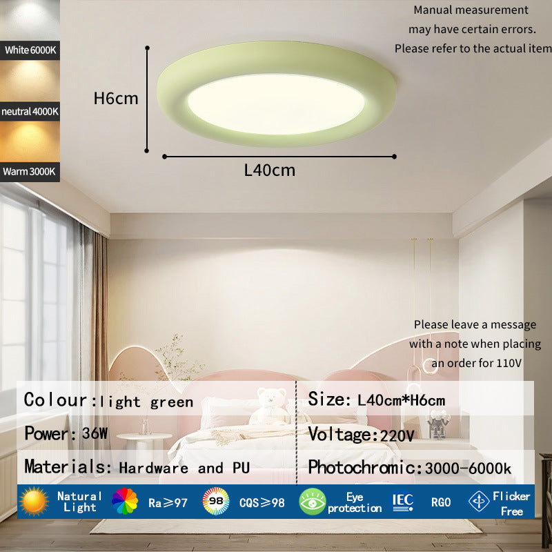 Contemporary Round Ceiling Light