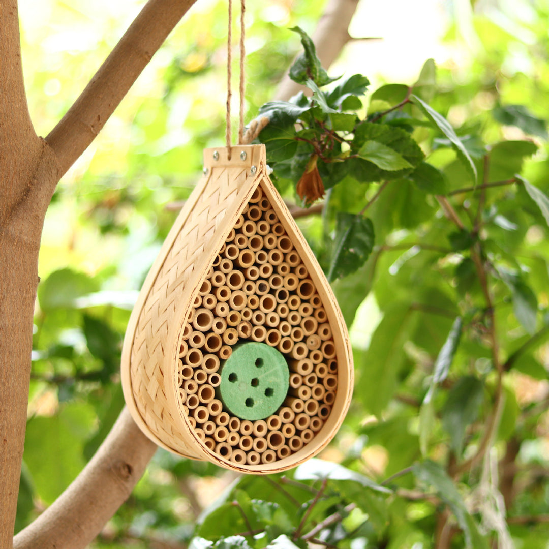 Eco-Friendly Insect Habitat Kalsten