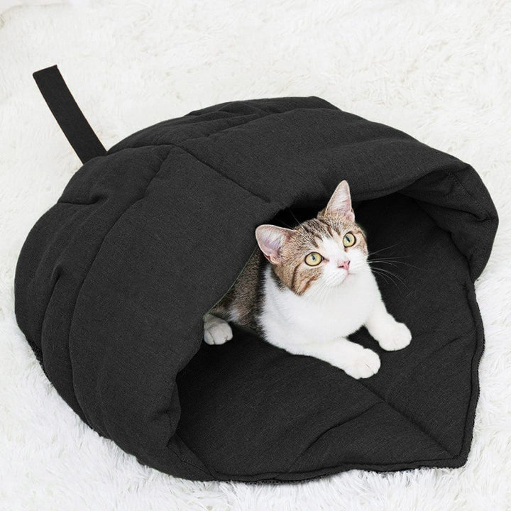 Cozy cat cave Kalsten