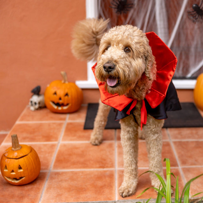 Hooded cape for costume parties