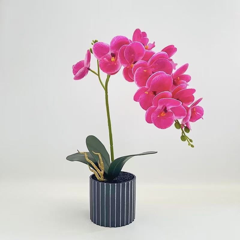 Realistic Faux Orchid Arrangement  1790480718