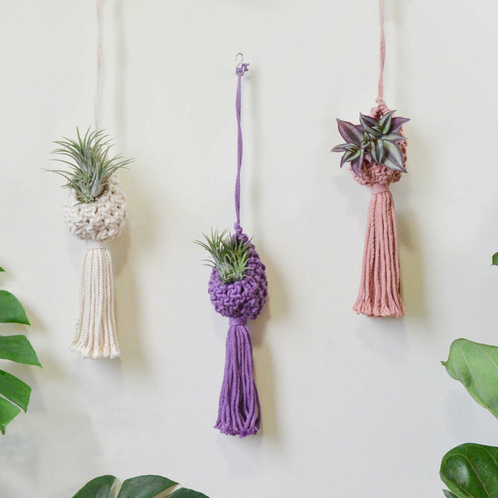 Macrame Hanging Plant Holder with Decorative Tassel Kalsten