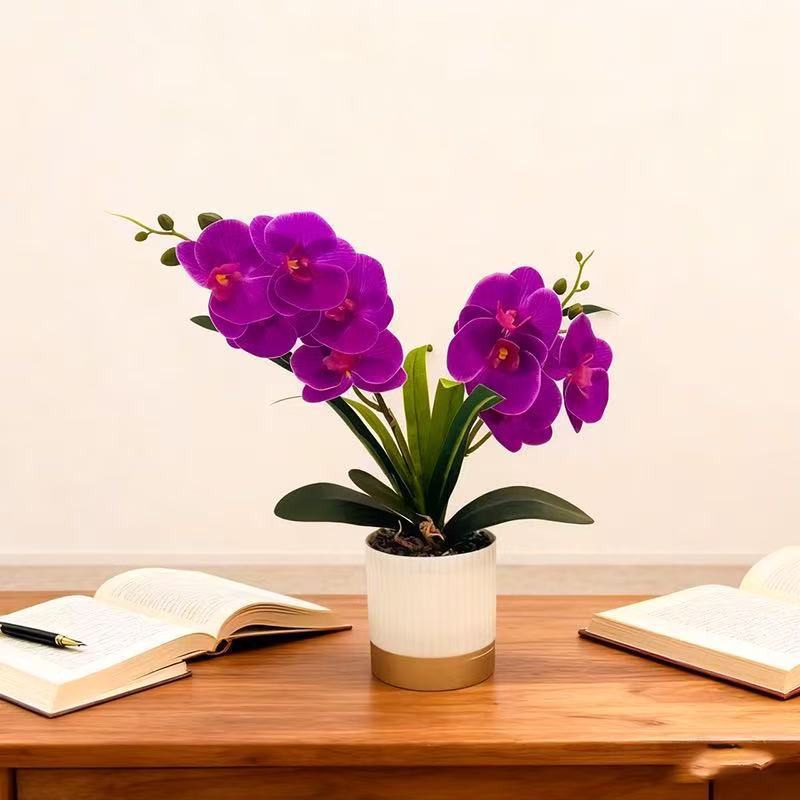Orchid Floral Pot Arrangement