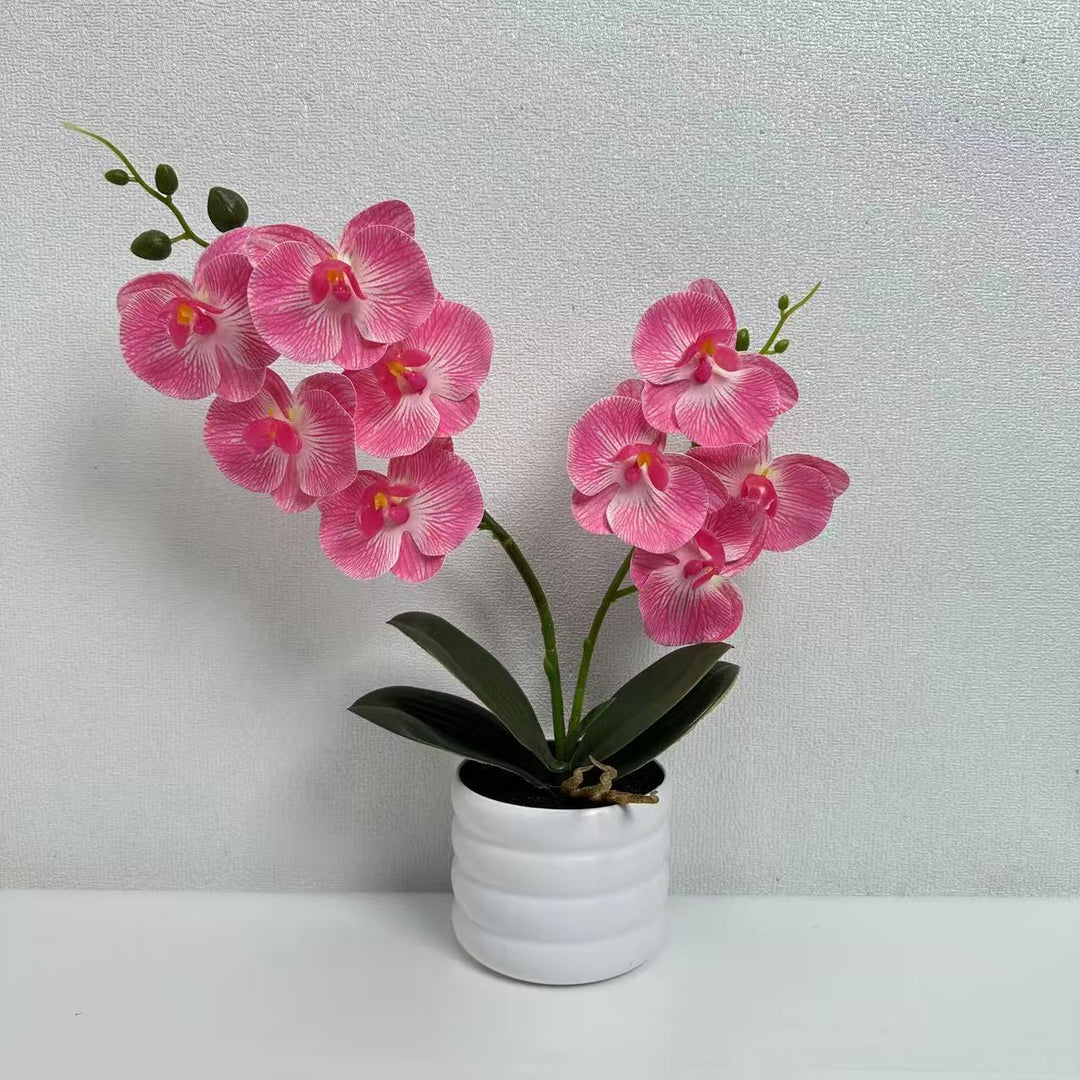 Lifelike Orchid Décor