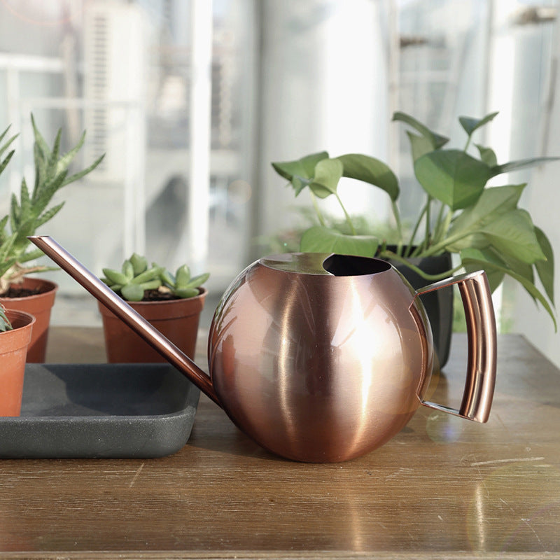 Stylish Watering Can