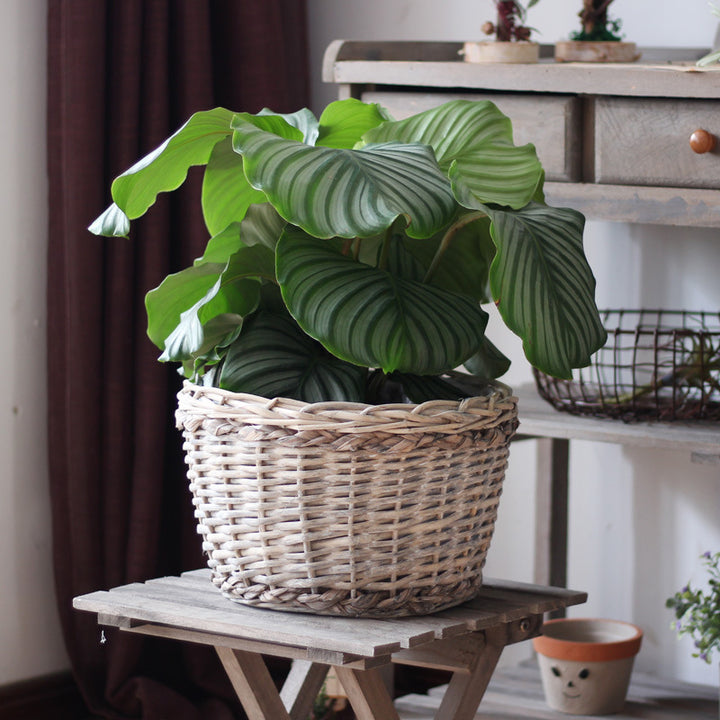 Rustic storage basket made of natural material Kalsten