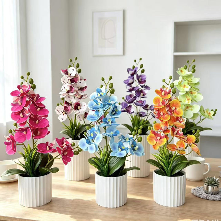 Realistic Indoor Orchid Plant Arrangement