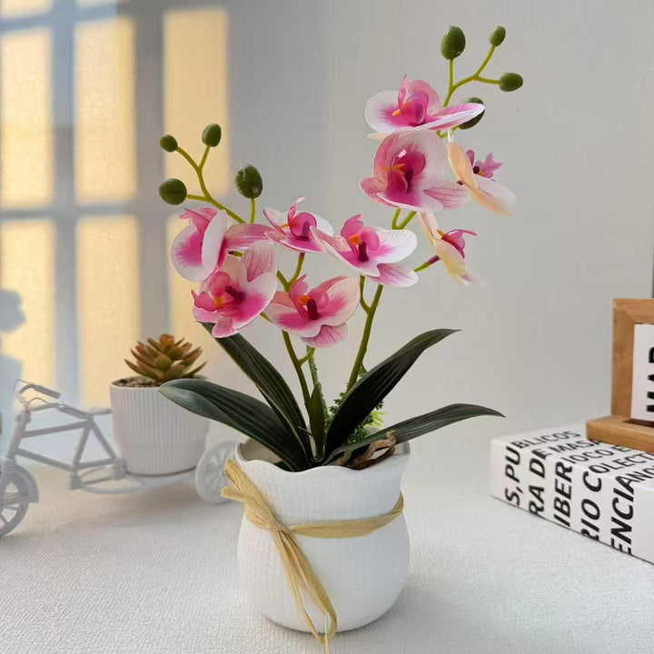 Realistic Decorative Orchid Plant