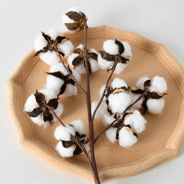 Decorative Cotton Branch Arrangement