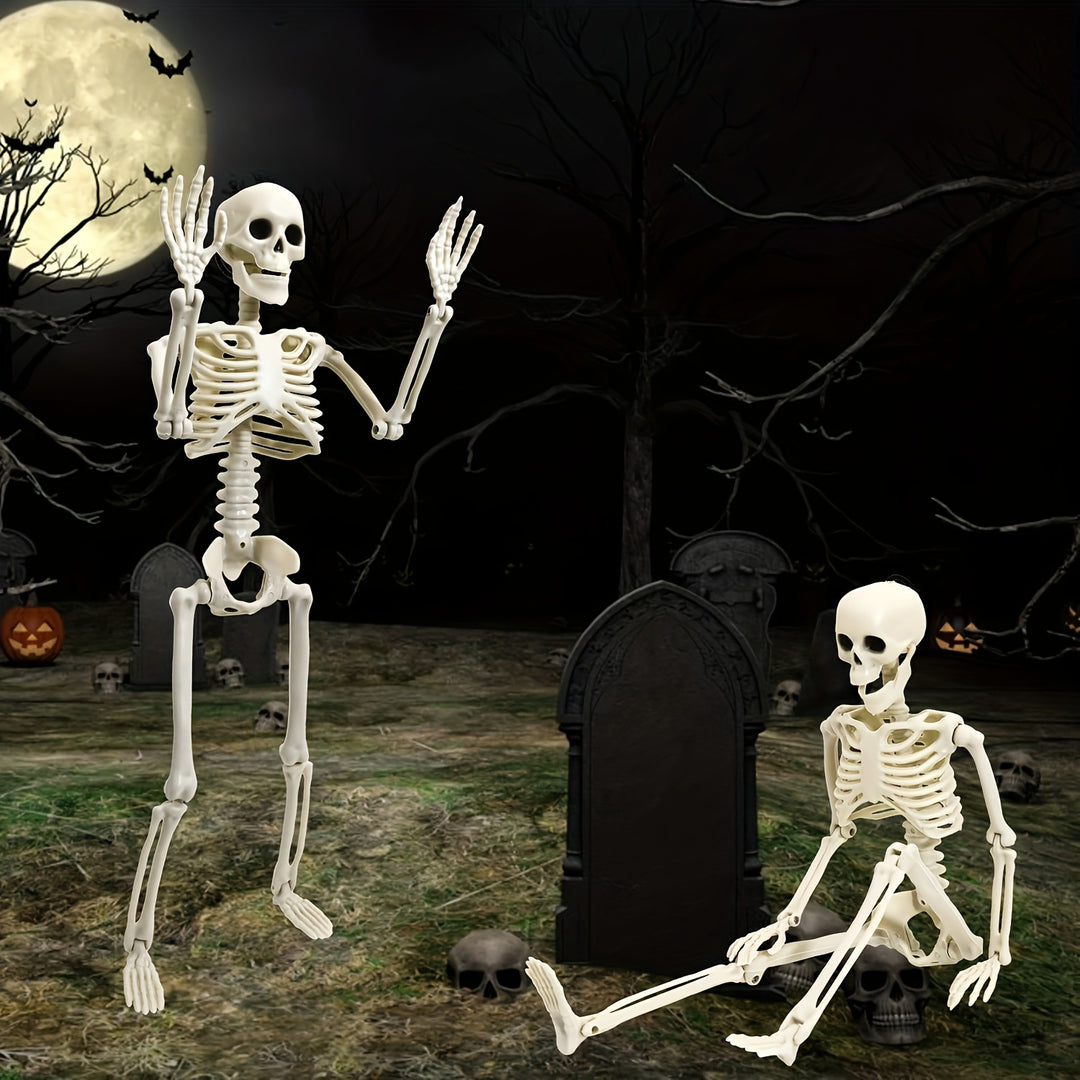 Anatomical teaching skeleton