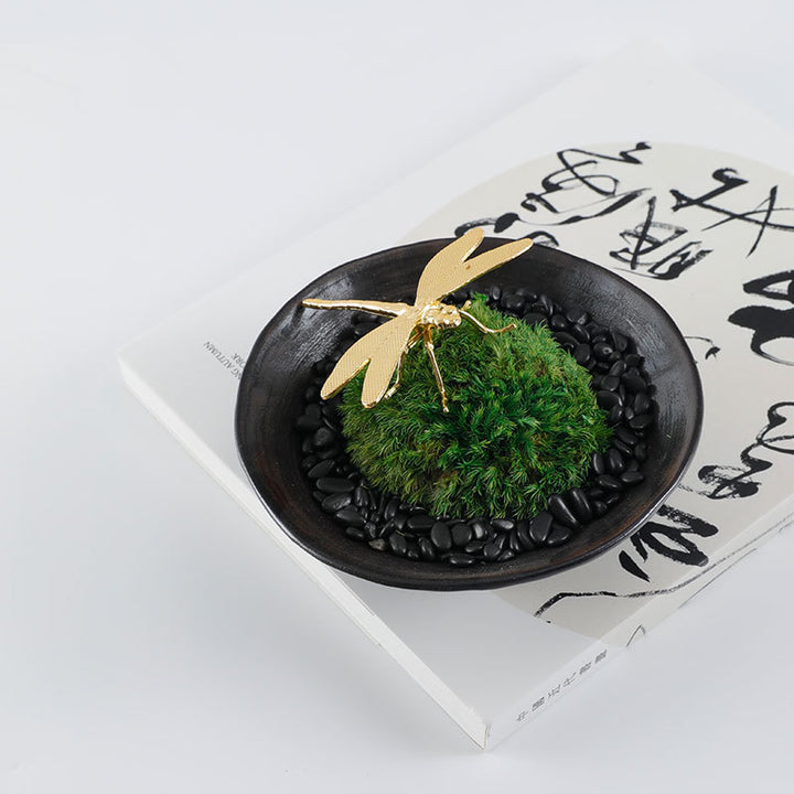 Decorative Botanical Display