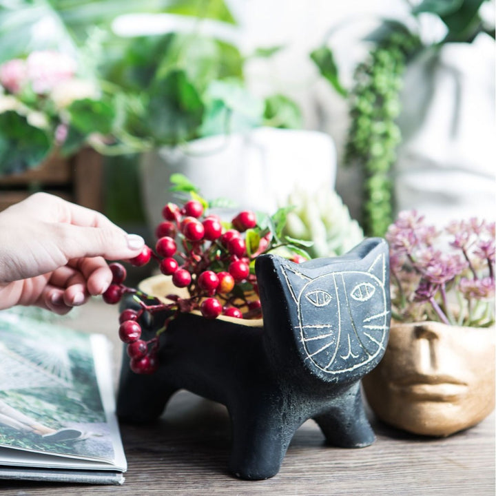 Decorative Plant Bowl Kalsten