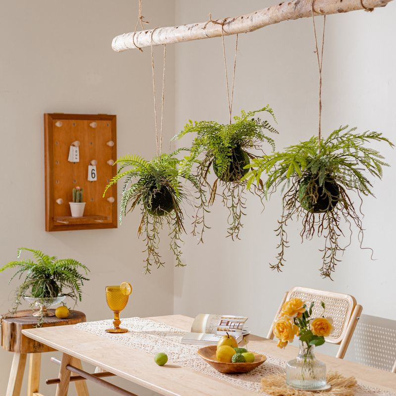 Hanging Fern Plant Decoration