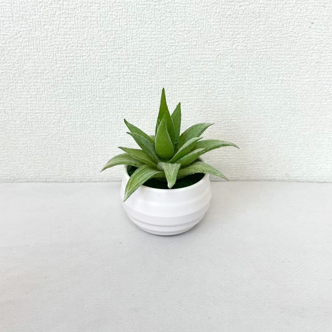 Lifelike Potted Succulent Plant