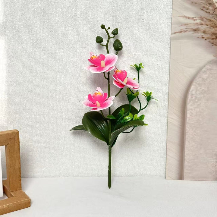 Elegant Orchids Floral Arrangement