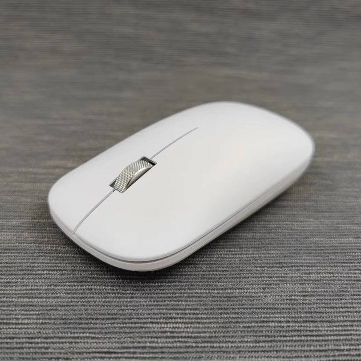 Wireless Ergonomic Computer Mouse Kalsten