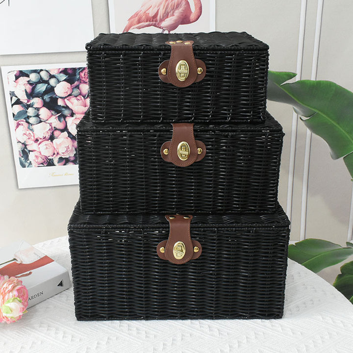 Elegant Woven Storage Chest Kalsten